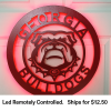 Georgia Bulldogs LED