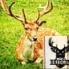 Buck Head Name Sign