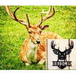 Buck Head Personalized Name  -Name Sign