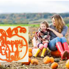 Fall Y’all Pumpkin Door Hanger