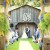 Weddings